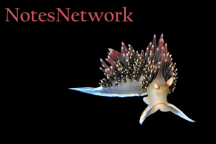  NotesNetwork 
